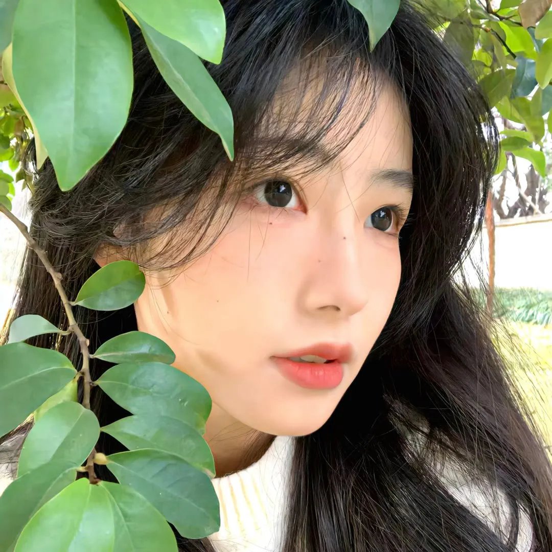 红颜浩劫